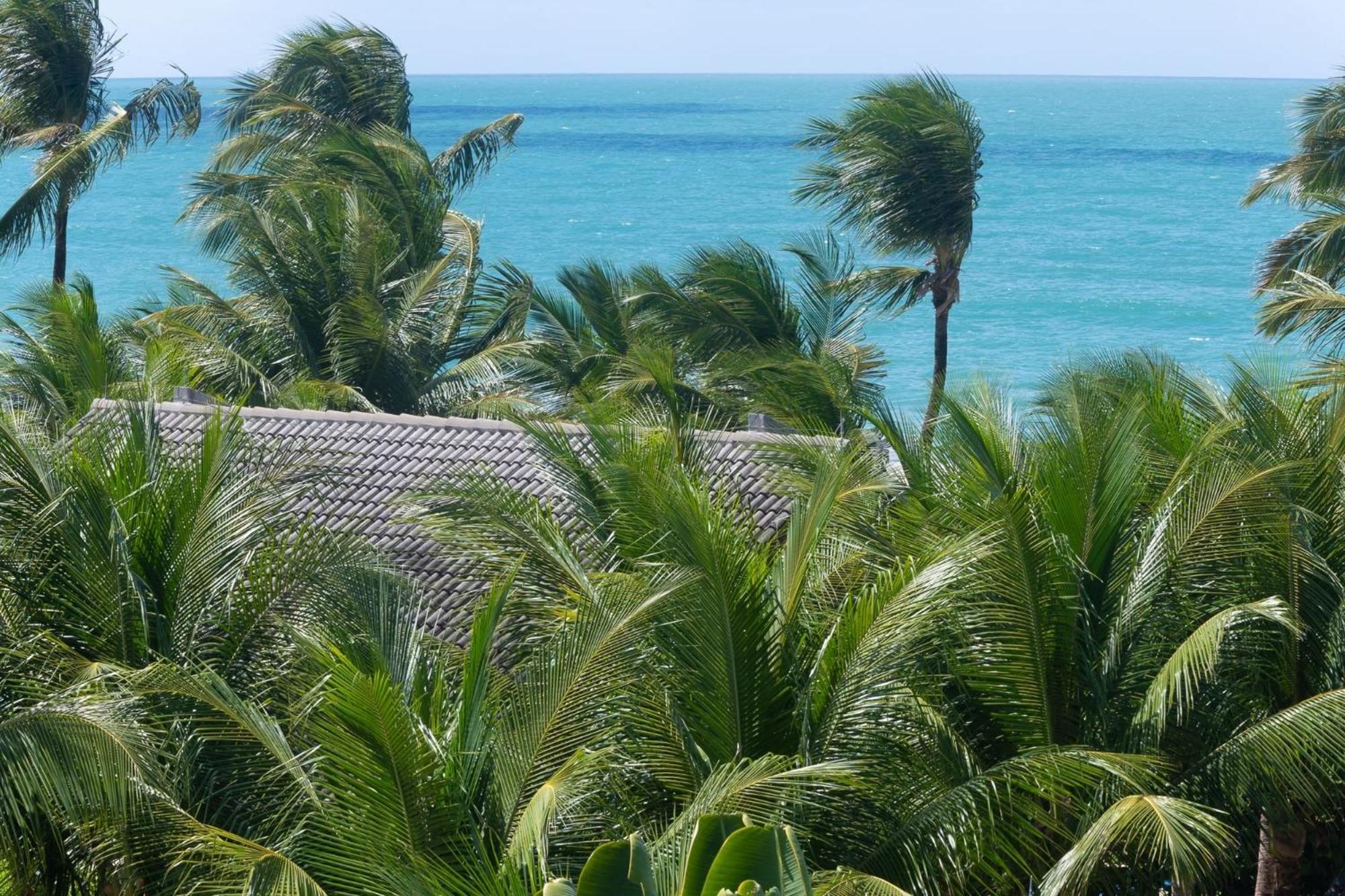 Beachclass Ecolife Porto De Galinhas Por Brevelar المظهر الخارجي الصورة
